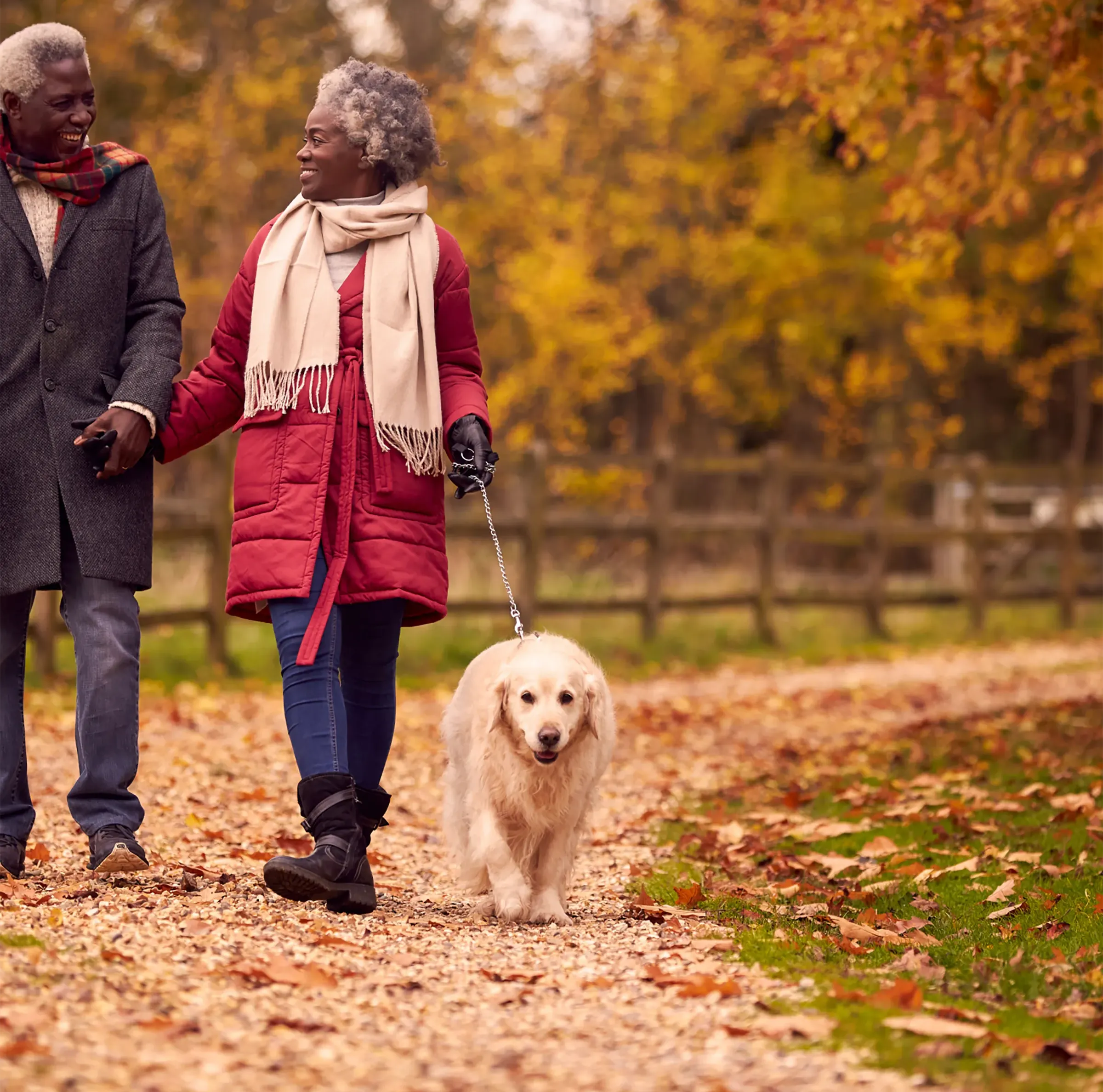 A senior couple holding hands and walking their dog along a path in the fall.
